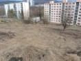 /album/projekt-invazne-rastliny-v-bb/dsc00922-jpg/